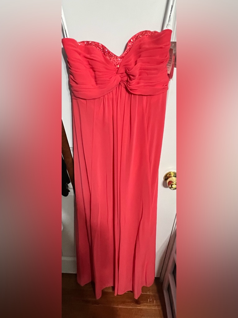 David's Bridal Strapless Sheer Chiffon Beaded Dress - Nwt